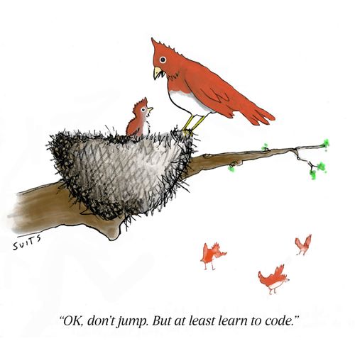 "Oh, don't jump. But at least learn to code."