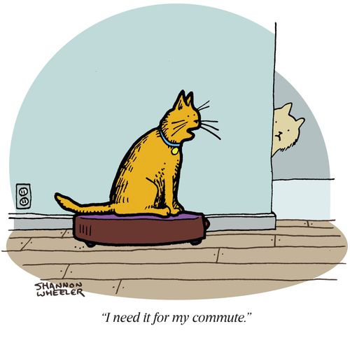 "I need it for my commute."