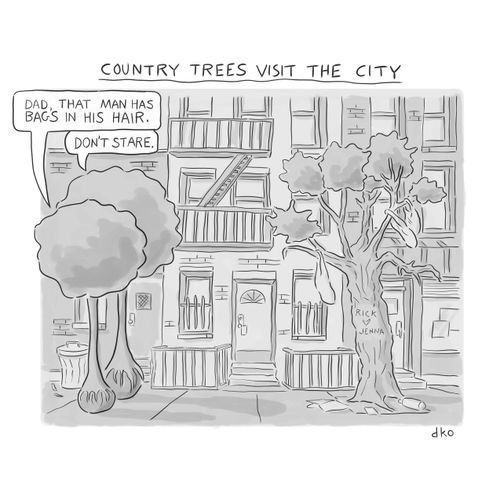 Country trees visit the city.