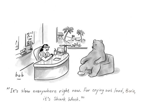 "It's slow everywhere right now. For crying out loud, Boris, it's shark week."
