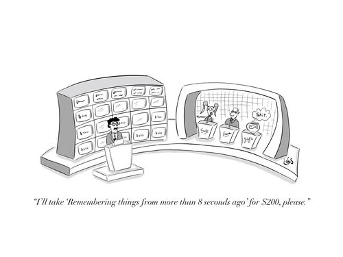 "I'll take 'Remembering things from more than 8 seconds ago' for $200, please."