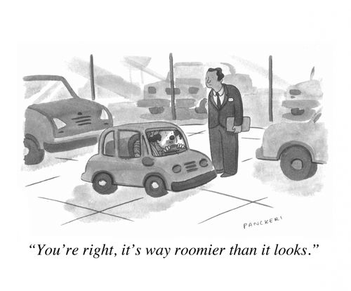 "You're right, it's way roomier than it looks."