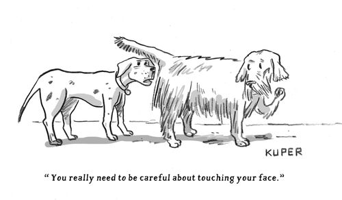 You really need to be careful about touching your face."