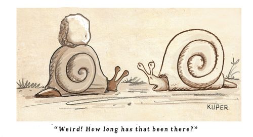 "Weird! How long has that been there?"