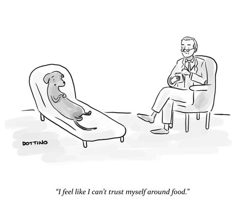 "I feel like I can't trust myself around food."