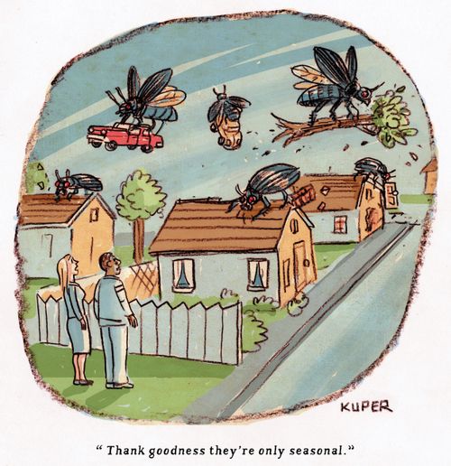 "Thank goodness they're only seasonal."
