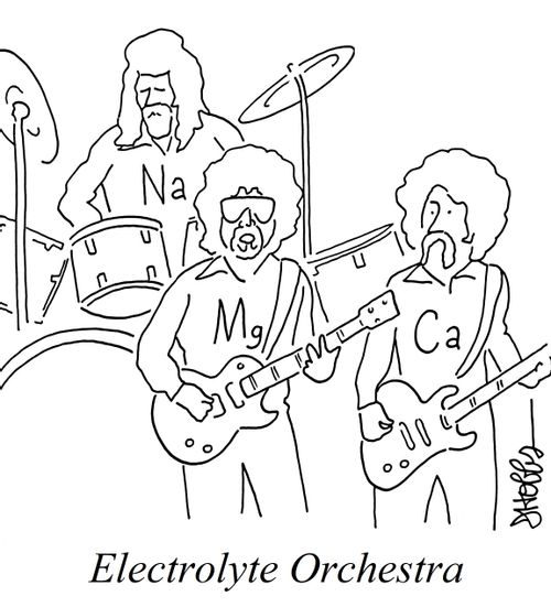 Electrolyte Orchestra