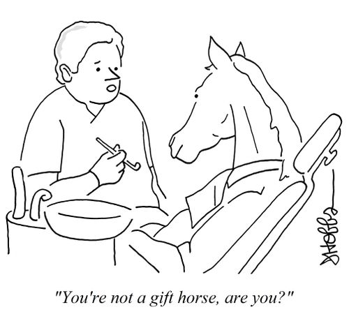 "You're not a gift horse, are you?"
