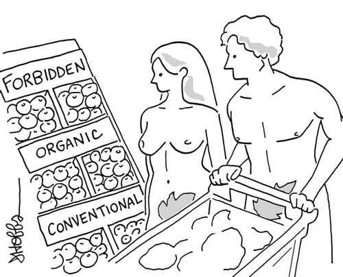 Adam and Eve go Grocery Shopping