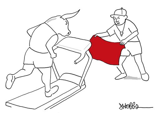 Bull Training