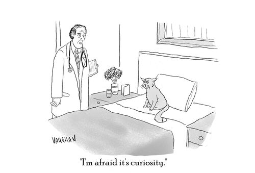 "I'm afraid it's curiosity."