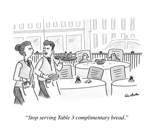 "Stop serving Table 3 complimentary bread."