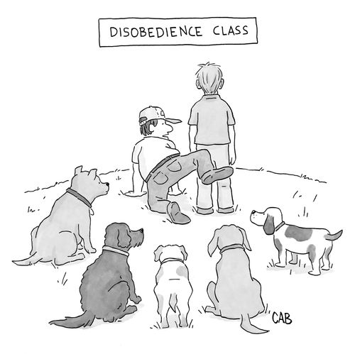 Disobedience Class