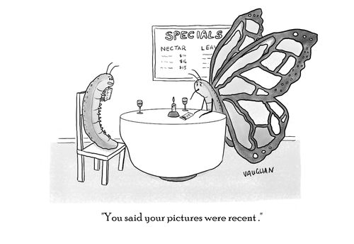 "You said your pictures were recent."