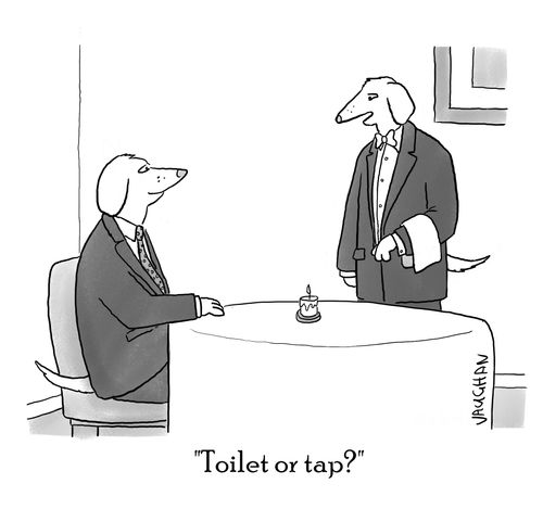"Toilet or tap?"