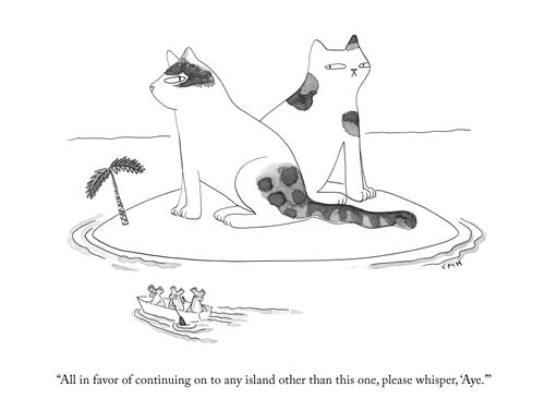 "All in favor of continuing on to any island other than this one, please whisper, 'Aye.'"
