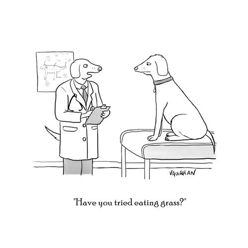 "Have you tried eating grass?"