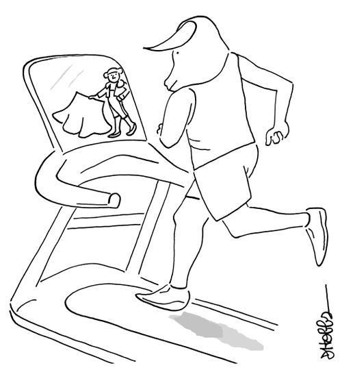 Bull Treadmill