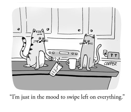 "I'm in the mood to swipe left on everything."