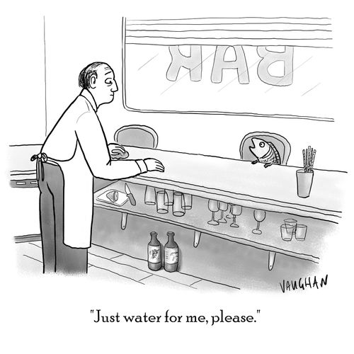 "Just water for me, please."