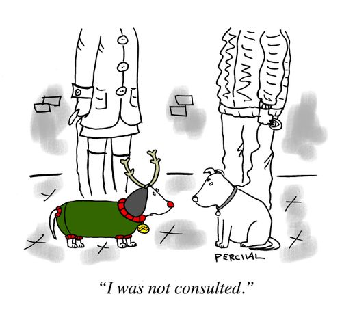 “I was not consulted.”