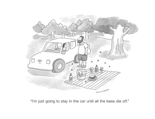 "I'm just going to stay in the car until all the bees die off."