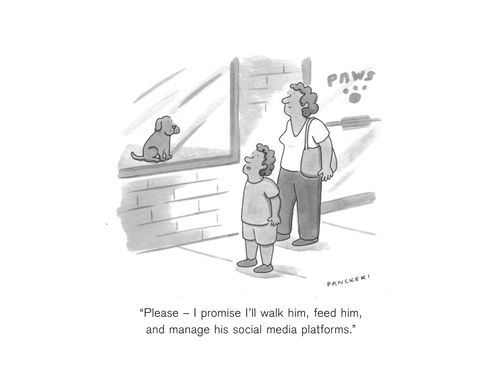 "Please – I promise I’ll walk him, feed him, and manage his social media platforms."
