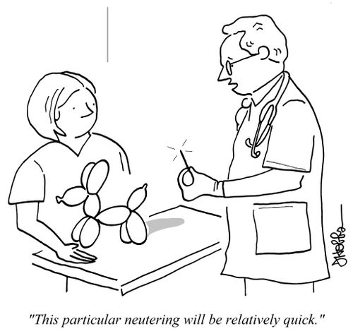 "This particular neutering will be relatively quick."