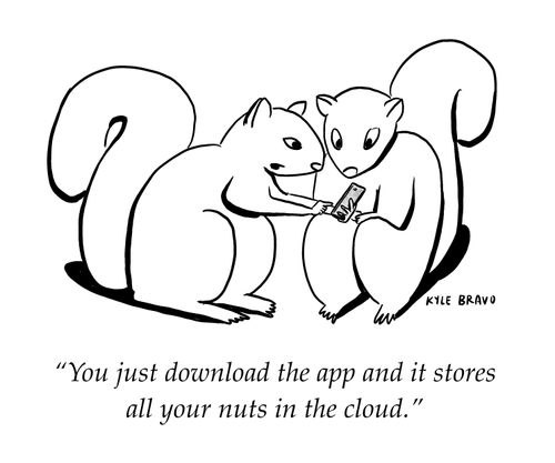 "You just download the app and it stores all your nuts in the cloud."