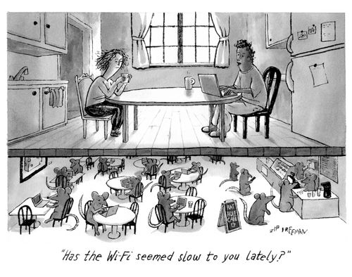 "Has the Wi-Fi seemed slow to you lately?"