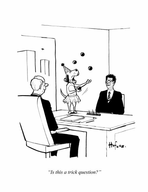 "Is this a trick question?"