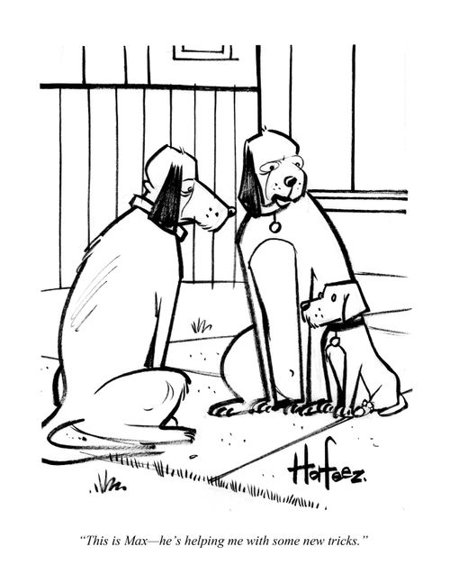 "This is Max - he's helping me with some new tricks."