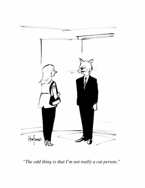 "The odd thing is that I'm not really a cat person."