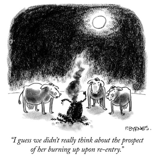 "I guess we didn't really think about the prospect of her burning up upon re-entry."