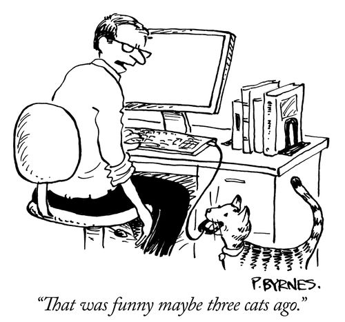 "That was funny maybe three cats ago."