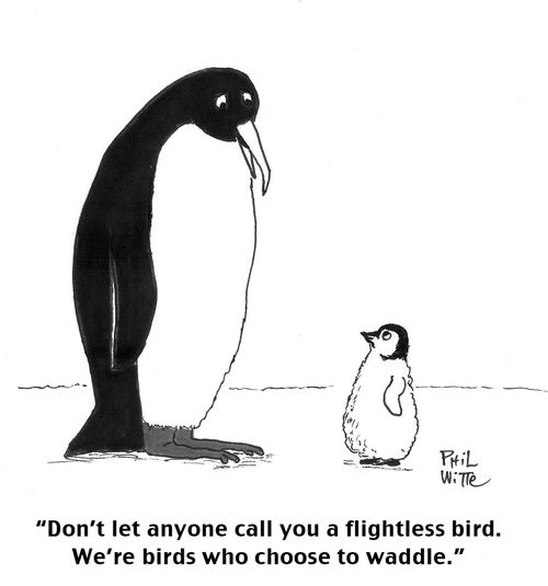 "Don't let anyone call you a flightless bird. We're birds who choose to waddle."