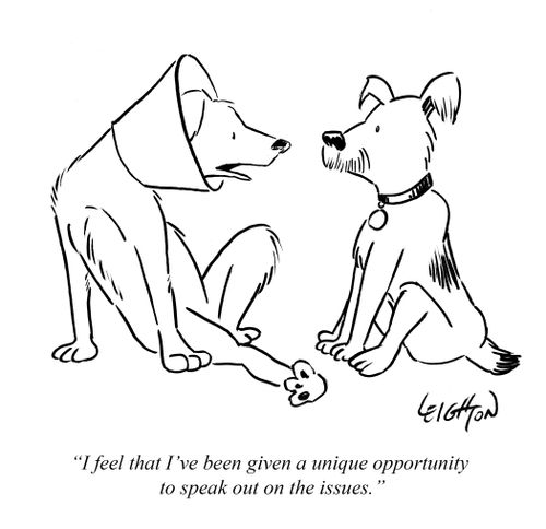 "I feel that I've been given a unique opportunity to speak out on the issues."