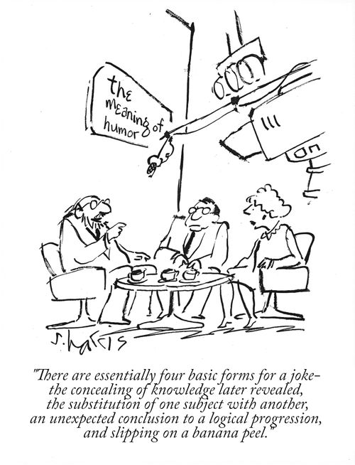 The Meaning of Humour