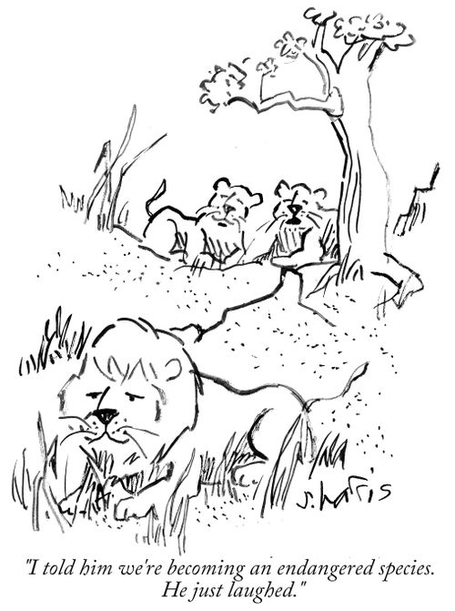 'I told him we're becoming an endangered species. He just laughed.'