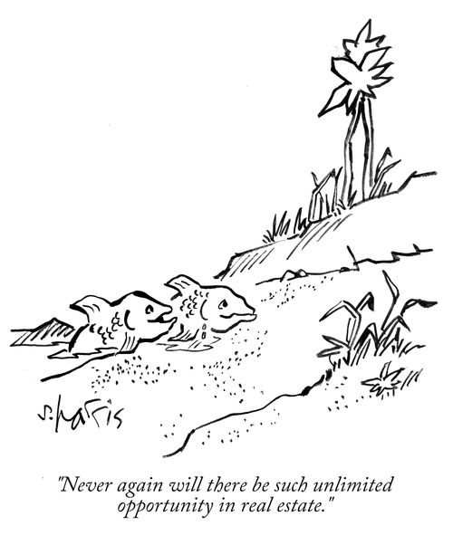 "Never again will there be such opportunity in real estate."