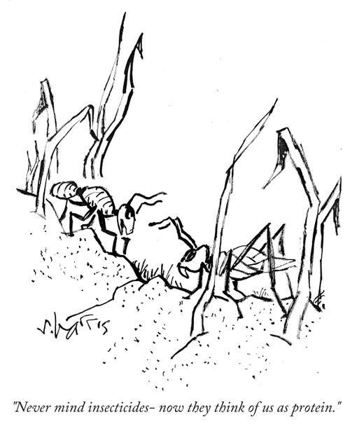 "Never mind insecticides– now they think of us as protein."