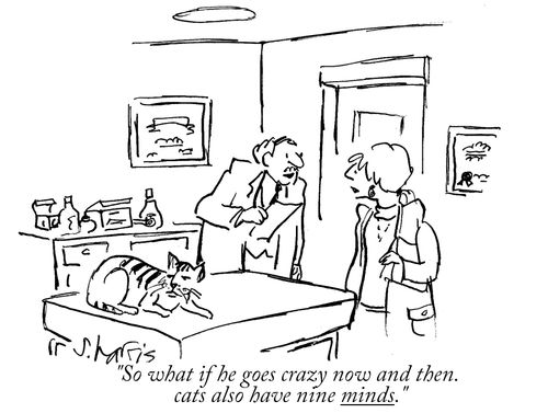"So what if he goes crazy now and then. Cats also have nine minds."