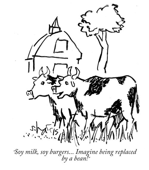 "Soy milk, soy burgers... Imagine being replaced by a bean!"