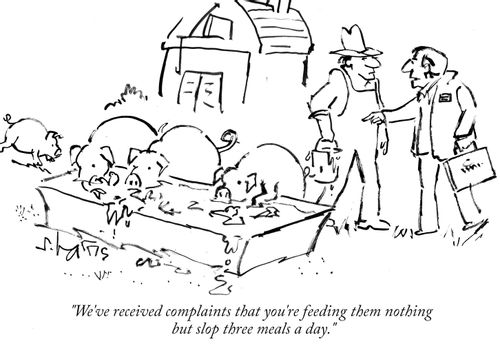 "We've received complaints that you're feeding them nothing but slop three meals a day."