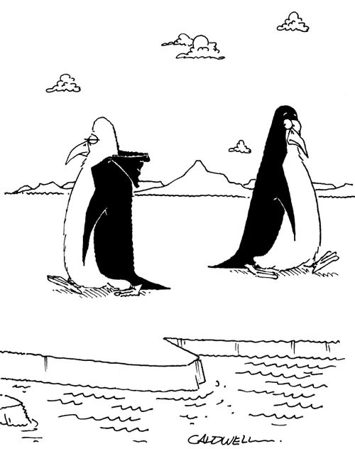 A penguin wearing a hoodie