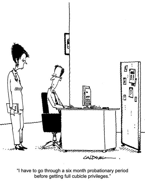 "I have to go through a six month probationary period before getting full cubicle privileges."