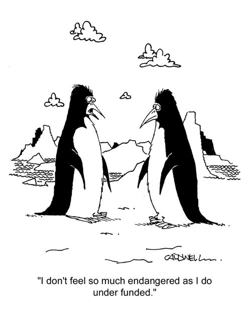 "I don't feel so much endangered as I do under funded."