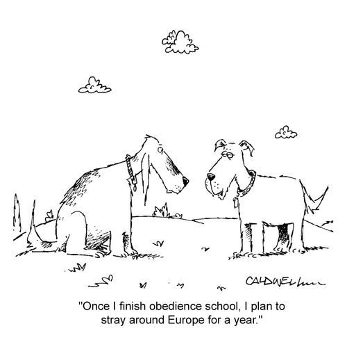 "Once I finish obedience school, I plan to stray around Europe for a year."