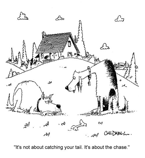 "It's not about catching your tail. It's about the chase."