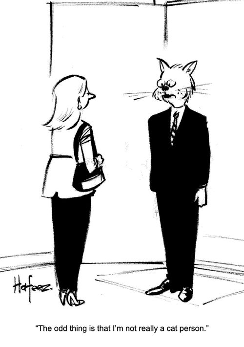 "The odd thing is that I'm not really a cat person."